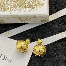 Christian Dior Earrings